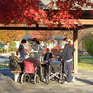 高齢者施設の紅葉散歩