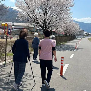 高齢者施設のお花見ウォーキング風景