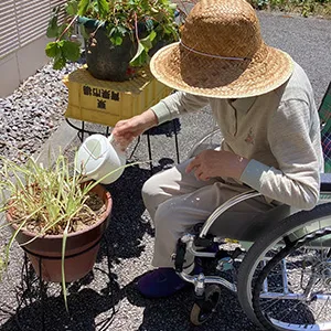 高齢者施設の水やり